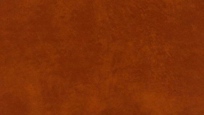 Top 10 🤩 W. Schillig Black Label Sofas Sofa Foscaari 🥰 6 Top 10 🤩 W. Schillig Black Label Sofas Sofa Foscaari 🥰 – Bild 6