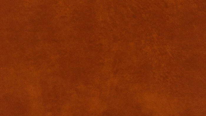 Schlussverkauf ⌛ Willi Schillig Sofas Sofa 18050 Around-the-block ✨ 6 Schlussverkauf ⌛ Willi Schillig Sofas Sofa 18050 Around-the-block ✨ – Bild 6