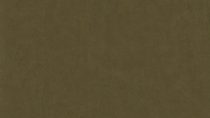 Angebote 🤩 Willi Schillig Zubehör Kopfstütze 16582 Samiraa 👏 3 Angebote 🤩 Willi Schillig Zubehör Kopfstütze 16582 Samiraa 👏 – Bild 3